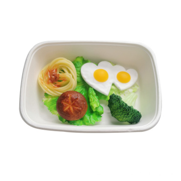 Biodegradable Container Sugarcane Food Tray 8''x 6''